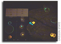 Laser fluorescence could find life on Mars