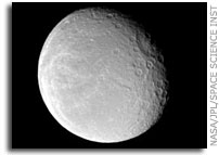 Wisp-covered Rhea