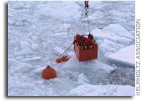 The Antarctic deep sea gets colder