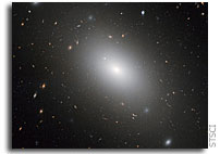 Gargantuan galaxy NGC 1132: a cosmic fossil?