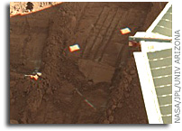Next Mars Soil Scoop Slated for Last of Lander's Wet Lab Cells