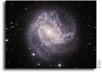 A prodigious pinwheel shines in the darkness