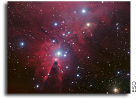A Sparkling Spray of Stars
