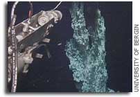 Scientists break record by finding northernmost hydrothermal vent field