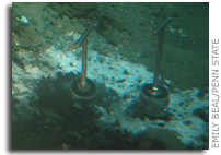 Methane-eating microbes can use iron and manganese oxides to 'breathe'