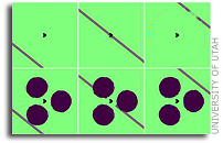 A New Cloaking Method
