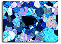 Prussian blue linked to the origin of life