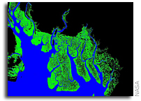 NASA researcher nets first measure of Africa's coastal forests