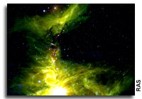 Great Nebula of Orion's Chaotic and Overcrowded Stellar Nursery