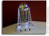 Google Lunar X PRIZE Contender Odyssey Moon Partners with Paragon Space Development Corporation to Grow first Plant on the Moon