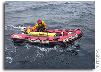 Scarlet Knight Makes Landfall in Spain