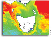 Highest-ever Winter Water Temperatures Recorded Off of Tasmania