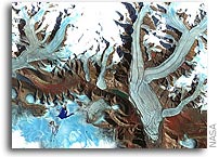 NASA Continues to Advance International Polar Year Science