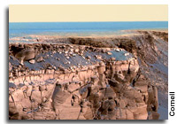Opportunity's