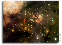 Subaru Head Count of Low-mass Stars in W3 Main