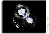 Brown Dwarfs Don't Hang Out With Stars