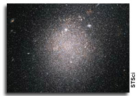 Starbursts in Dwarf Galaxies are a Global Affair