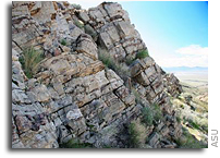 Explosive growth of life on Earth fueled by early greening of planet