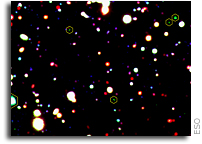 Shedding Light on the Cosmic Skeleton