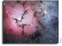 Trifid Triple Treat