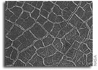 Patterns in Mars Craters Give Picture of Drying Lakes