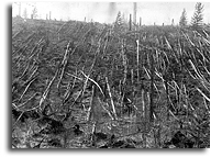Space Shuttle Links 1908 Tunguska Explosion to Comet