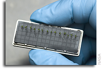 NASA to Study Seeds in Space to Better Understand Plant Growth