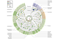 Scientists decipher 3 billion-year-old genomic fossils