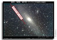 Discovery of New Stellar Streams in Andromeda Galaxy