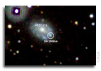 Newborn Black Holes May Add Power to Many Exploding Stars