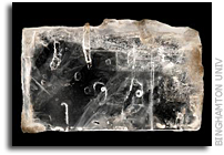 Researchers Kick-start Ancient DNA