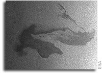 ESA's Envisat Monitors Oil Spill