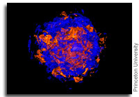 3-D Computer Simulations Help Envision Supernova Explosions