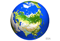 Satellites unravel complex relationship between northern forests and climate
