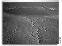 Opportunity Surpasses 16 Miles of Driving