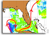 Envisat monitors oil spill proximity to Loop Current