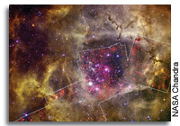 Chandra Views the 'Heart of a Rose'