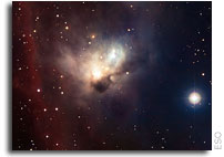 The Cosmic Bat: An Island of Stars in the Making on the Outskirts of Orion