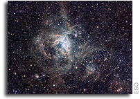 Ambitious Survey Spots Stellar Nurseries