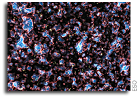 Clearing the cosmic fog - The most distant galaxy ever measured