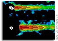 Mercury's Comet-like Tail Spotted by Solar Satellites