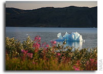 NASA Readies for Spring 2010 Ice Bridge Campaign