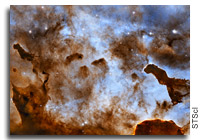 Cosmic Ice Sculptures in the Carina Nebula