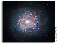 Hubble Image: Pinwheel of Star Birth