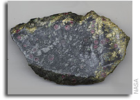 Water Deep in Earth Key to Survival of Oldest Continents