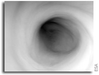 The Many Faces of the Venus Polar Vortex