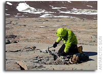 Life retreated to Antarctica during mass extinction