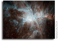 Colony of Young Stars Shines in New Spitzer Image