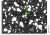 Discovery of First Trojan Asteroid in a Stable Zone Near Neptune