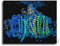 Experiment reaches biology milestone with hard X-ray laser